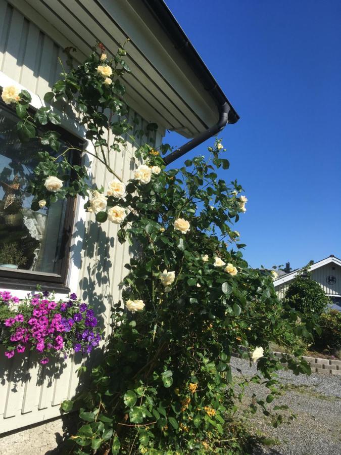 Airbnbekasberg Olofstorp エクステリア 写真