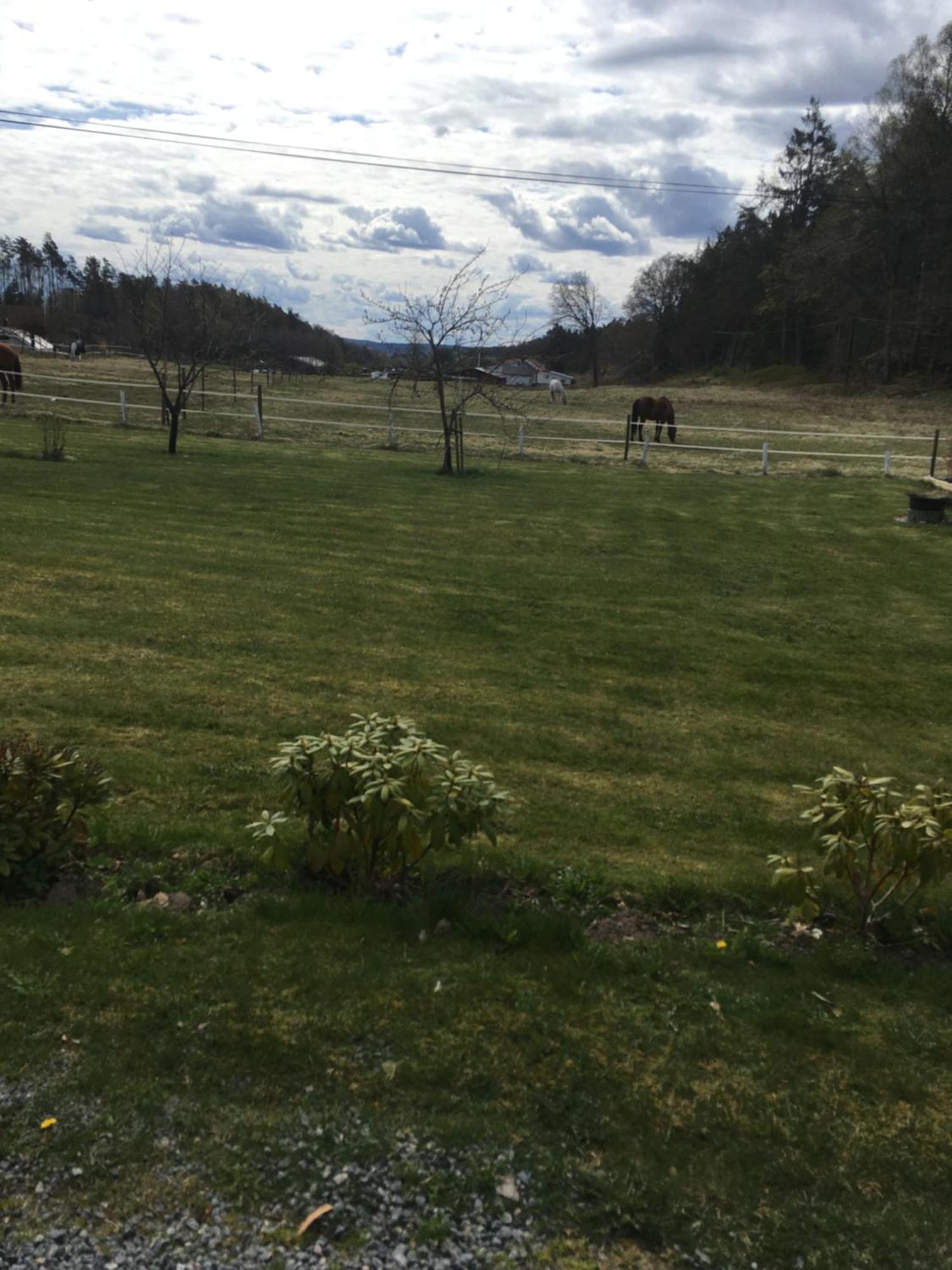 Airbnbekasberg Olofstorp エクステリア 写真