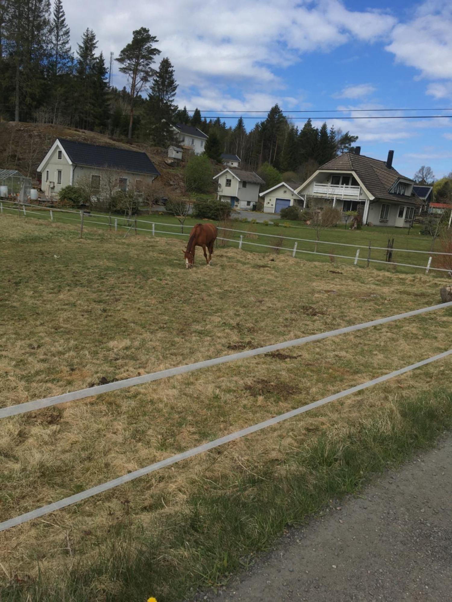 Airbnbekasberg Olofstorp エクステリア 写真